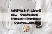 如何轻松上手共享流量网站，全面攻略解析，轻松掌握共享流量网站，全面攻略与解析指南