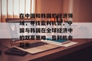 在中国和韩国的经济领域,寻找盈利机会,中国与韩国在全球经济中的双赢策略,盈利机会探索