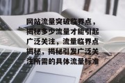 网站流量突破临界点，揭秘多少流量才能引起广泛关注，流量临界点揭秘，揭秘引发广泛关注所需的具体流量标准