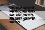 揭秘隐藏网站源代码的神秘面纱，揭开隐藏网站源代码的神秘面纱，揭秘隐藏网站源代码的神秘世界