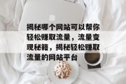 揭秘哪个网站可以帮你轻松赚取流量，流量变现秘籍，揭秘轻松赚取流量的网站平台