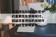 流量评估在网站运营中的重要性及策略探讨，网站流量评估的关键作用与运营策略解析