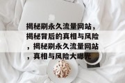 揭秘刷永久流量网站，揭秘背后的真相与风险，揭秘刷永久流量网站，真相与风险大曝光