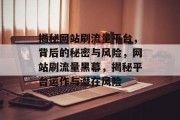 揭秘网站刷流量平台，背后的秘密与风险，网站刷流量黑幕，揭秘平台运作与潜在风险