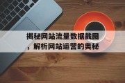 揭秘网站流量数据截图，解析网站运营的奥秘