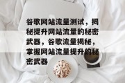 谷歌网站流量测试，揭秘提升网站流量的秘密武器，谷歌流量揭秘，掌握网站流量提升的秘密武器