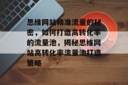 思维网站精准流量的秘密，如何打造高转化率的流量池，揭秘思维网站高转化率流量池打造策略