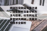 揭秘社交网站流量之谜，深度解析流量分析方法与应用，社交网站流量奥秘大揭秘，流量分析技术全解析