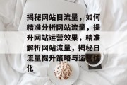 揭秘网站日流量，如何精准分析网站流量，提升网站运营效果，精准解析网站流量，揭秘日流量提升策略与运营优化