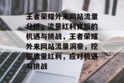 王者荣耀外来网站流量分析，流量红利背后的机遇与挑战，王者荣耀外来网站流量洞察，挖掘流量红利，应对机遇与挑战