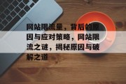 网站限流量，背后的原因与应对策略，网站限流之谜，揭秘原因与破解之道