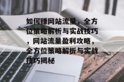 如何赚网站流量，全方位策略解析与实战技巧，网站流量盈利攻略，全方位策略解析与实战技巧揭秘