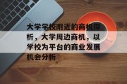 大学学校附近的商机探析,大学周边商机,以学校为平台的商业发展机会分析