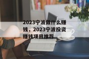 2023宁波做什么赚钱,2023宁波投资赚钱项目推荐 2023宁波做什么赚钱,2023宁波投资赚钱项目推荐