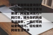 轻松掌握网站查询技巧，让你的网络生活更加便捷，网站查询技巧一网打尽，提升你的网络生活效率，一网打尽网站查询技巧，轻松提升网络生活效率