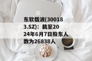 东软载波(300183.SZ)：截至2024年6月7日股东人数为26838人