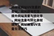 揭秘买网站UV流量的奥秘，如何精准引流，提升网站流量与转化率，网站流量与转化率双提升，揭秘精准UV流量引流技巧