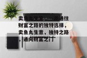 卖鱼丸生意，一条通往财富之路的独特选择，卖鱼丸生意，独特之路，通向财富之门
