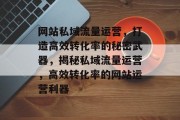网站私域流量运营，打造高效转化率的秘密武器，揭秘私域流量运营，高效转化率的网站运营利器