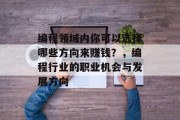 编程领域内你可以选择哪些方向来赚钱？，编程行业的职业机会与发展方向