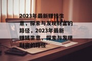 2023年最新赚钱生意，探索与发现财富的路径，2023年最新赚钱生意，探索与发现财富的路径