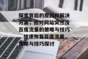 探索背后的原因和解决方案，应对网站突然没百度流量的策略与技巧，快速恢复百度流量，策略与技巧探讨