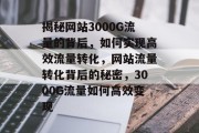 揭秘网站3000G流量的背后，如何实现高效流量转化，网站流量转化背后的秘密，3000G流量如何高效变现