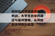 如何在大学创业并赚取利润,大学生创业的途径与盈利策略,从风险投资到个人经营