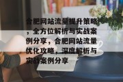 合肥网站流量提升策略，全方位解析与实战案例分享，合肥网站流量优化攻略，深度解析与实战案例分享