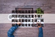 揭秘网站流量困境，为何你的网站流量不够？网站流量增长之谜，揭秘流量困境背后的真相