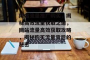 网站流量推广购买，揭秘高效流量获取之道，网站流量高效获取攻略，揭秘购买流量背后的秘密