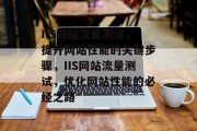 IIS网站流量测试，提升网站性能的关键步骤，IIS网站流量测试，优化网站性能的必经之路