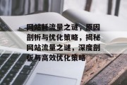 网站耗流量之谜，原因剖析与优化策略，揭秘网站流量之谜，深度剖析与高效优化策略