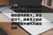 紧急状况下的最佳选择，如何利用自己的资源赚取额外的收入，紧急状况下，利用自己的资源赚取额外收入的最佳选择