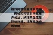 绣球网站流量增长策略，揭秘如何吸引海量用户关注，绣球网站流量翻倍秘籍，揭秘高效吸粉策略