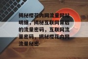 揭秘樱花内网流量网站明细，揭秘互联网背后的流量密码，互联网流量密码，揭秘樱花内网流量秘密