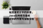 深入探讨Java在网站流量统计中的应用，Java在网络流量统计中的作用与深度分析