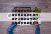 揭秘网站流量刷软件，虚假繁荣背后的真相，网站流量刷软件揭秘，揭开虚假繁荣的面纱