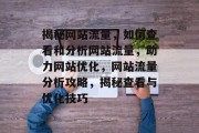 揭秘网站流量，如何查看和分析网站流量，助力网站优化，网站流量分析攻略，揭秘查看与优化技巧