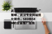 武汉专业网站排名推广策略，武汉专业网站优化提升，SEO和SEM的全面推广指南