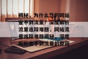 揭秘，为什么您的网站查不到流量？深度解析流量追踪难题，网站流量追踪难题揭秘，深度解析查不到流量的原因