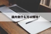 国内做什么可以赚钱？