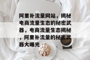 阿里补流量网站，揭秘电商流量生态的秘密武器，电商流量生态揭秘，阿里补流量的秘密武器大曝光