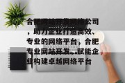 合肥网站开发网络公司，助力企业打造高效、专业的网络平台，合肥专业网站开发，赋能企业构建卓越网络平台