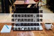 数据库策略，网站推广的有效方法解析，数据库策略深度解析，网站推广的高效途径，深度揭秘，数据库策略助力网站推广的高效路径