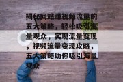 揭秘网站赚视频流量的五大策略，轻松吸引海量观众，实现流量变现，视频流量变现攻略，五大策略助你吸引海量观众
