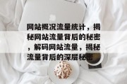 网站概况流量统计，揭秘网站流量背后的秘密，解码网站流量，揭秘流量背后的深层秘密