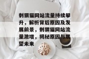 刺猬猫网站流量持续攀升，解析背后原因及发展前景，刺猬猫网站流量激增，揭秘原因与展望未来