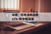 滔搏：归母净利润跌 35% 转型路漫漫