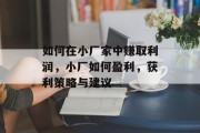 如何在小厂家中赚取利润,小厂如何盈利,获利策略与建议